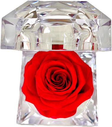 Roses preserved