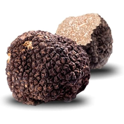 Centro Tartufi Molise Fresh Italian Black Autumn Truffles, Burgundy Truffles (1.6 OZ)