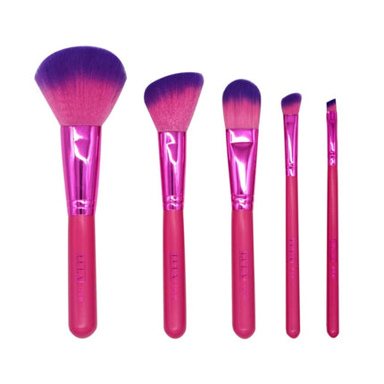 Lula Makeup Brushes Kit - Foundation, Concealers, Eye Shadows, Make up, Eyeliner Brushes. (9 Pcs Boreal)